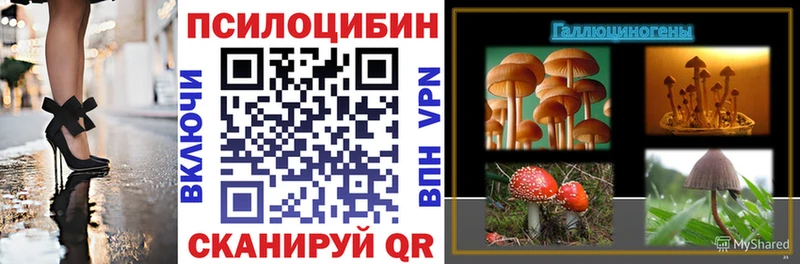 Галлюциногенные грибы GOLDEN TEACHER  купить  сайты  MEGA онион  Луза 